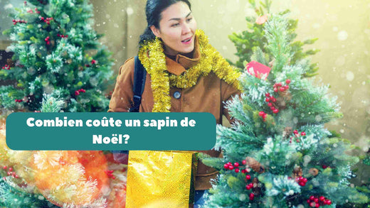 combien coute un sapin de noel