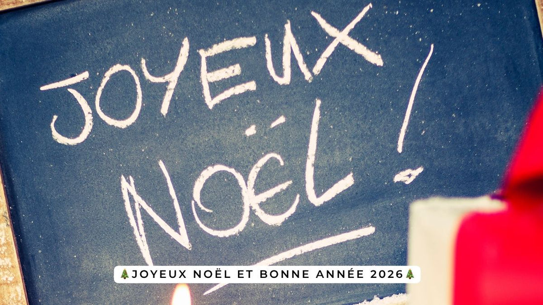 Joyeux Noël et bonne année 2026