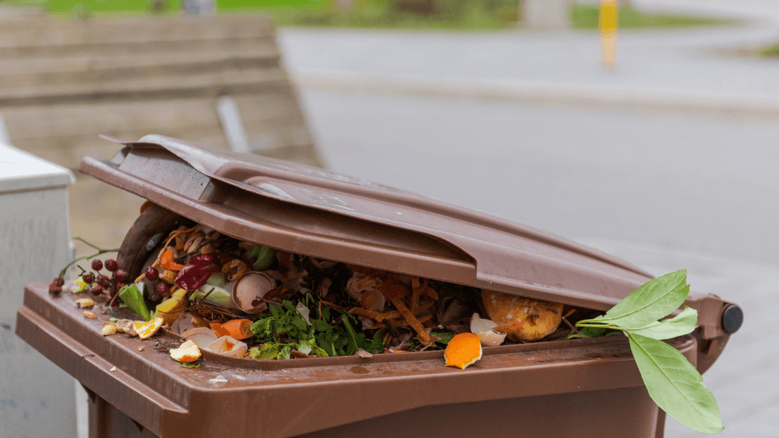 Comment réduire les déchets pendant les fêtes de fin d'année?