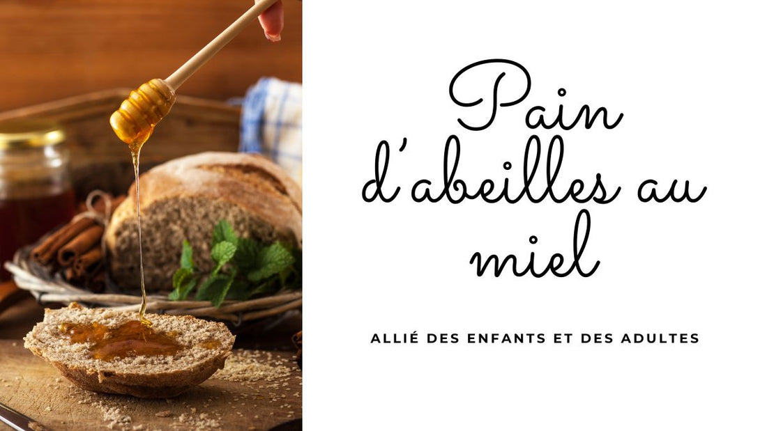 Tranche de pain complet nappée de miel doré au goûter