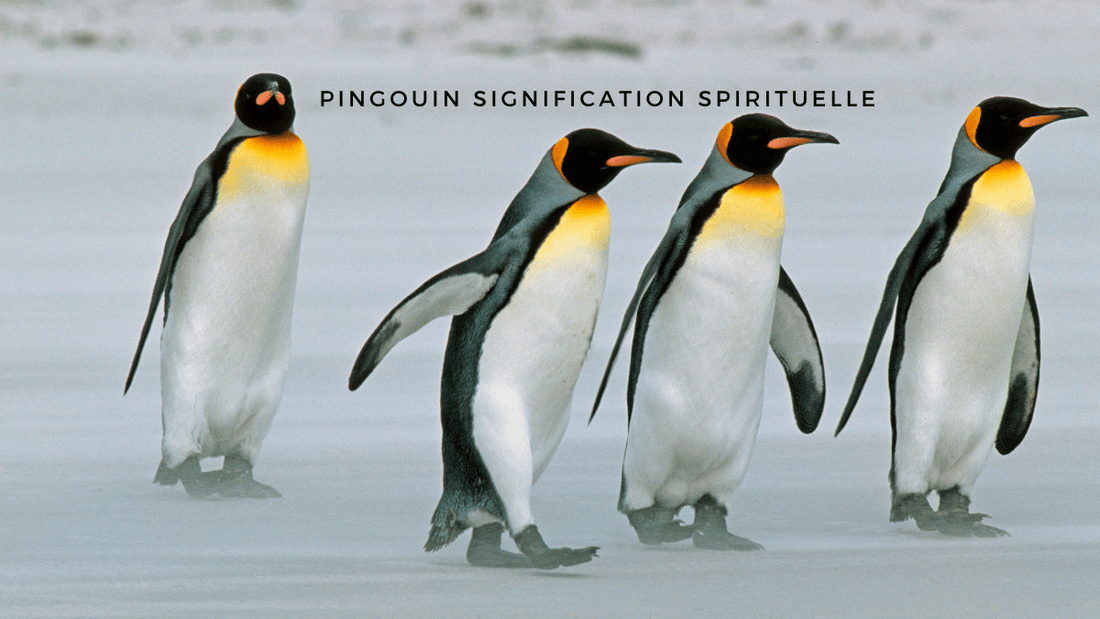 Pingouin signification spirituelle