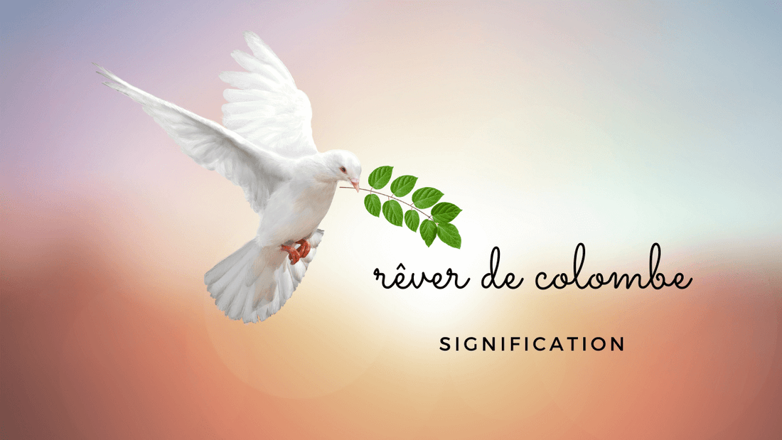 Quelles significations spirituelles et symboliques si vous rêvez d'une colombe ?