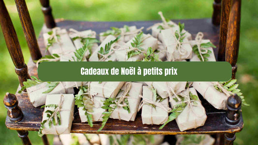 Cadeaux de Noël à petits prix