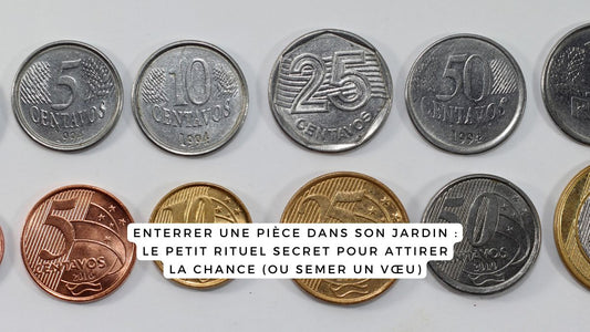 Enterrer une pièce dans son jardin : le petit rituel secret pour attirer la chance (ou semer un vœu)