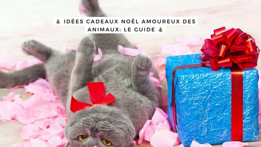Idées cadeaux Noël amoureux des animaux: le guide 2025