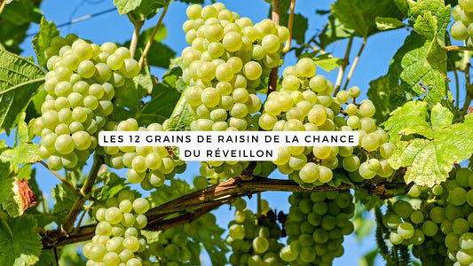 Les 12 grains de raisin de la chance du Réveillon