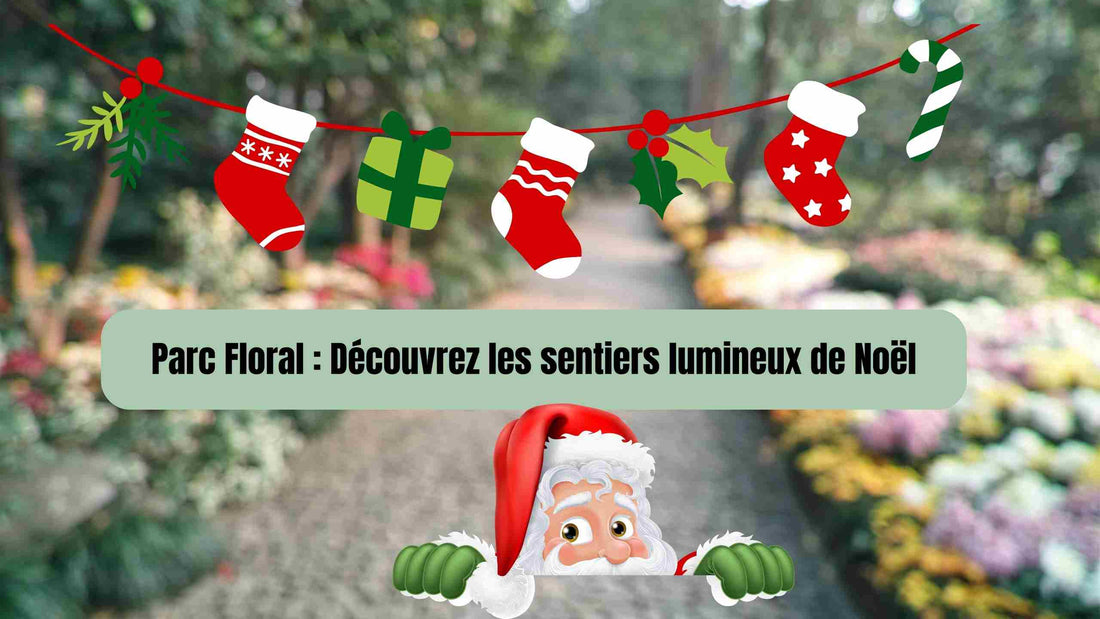 Parc Floral : Découvrez les sentiers lumineux de Noël