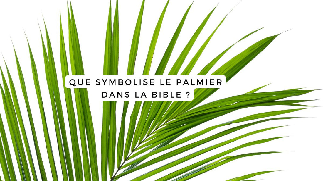 Que symbolise le palmier dans la Bible ?