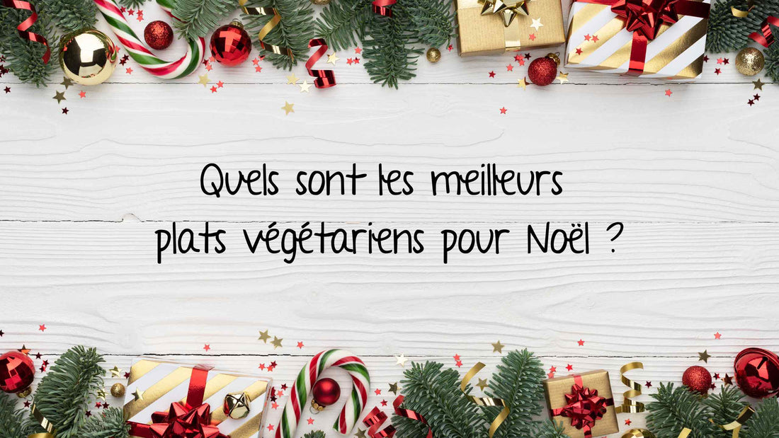 Quels sont les meilleurs plats végétariens pour Noël ?