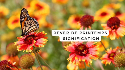 Quand le printemps fleurit dans vos rêves : signification et conseils