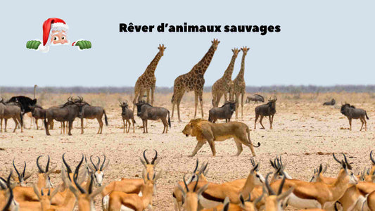 Rêver d’animaux sauvages : significations, émotions, et gestes simples