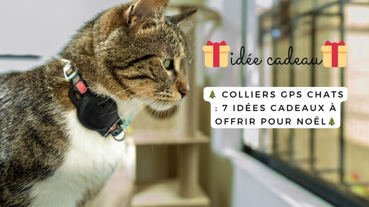 Colliers GPS chats : 7 idées cadeaux à offrir pour Noël 2025