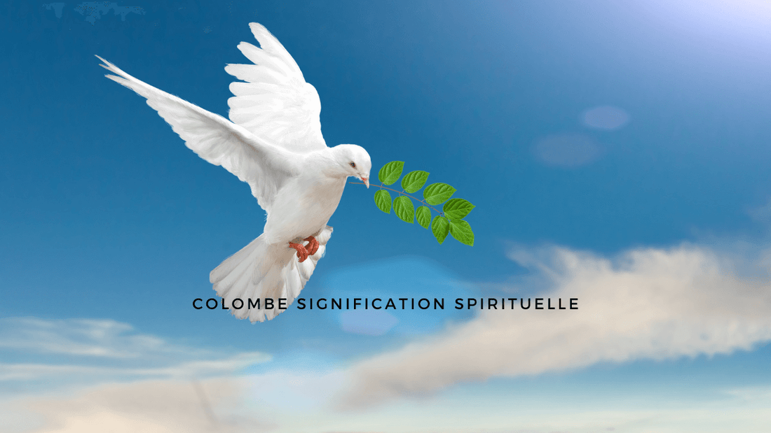 Colombe signification spirituelle