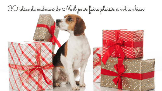 30 idées de cadeaux de Noël pour faire plaisir à votre chien en 2024