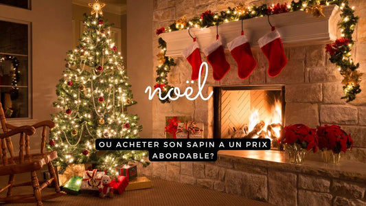 Noël 2024 : où acheter son sapin à un prix abordable ?