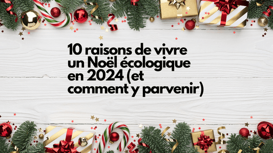 10 raisons de vivre un Noël écologique en 2024 (et comment y parvenir)