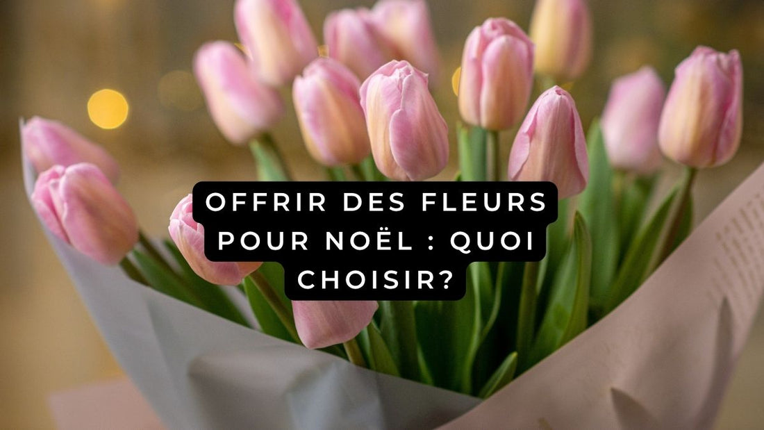 Offrir des fleurs pour Noël 2025: quoi choisir?
