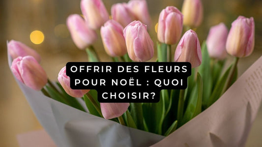 Offrir des fleurs pour Noël 2025: quoi choisir?