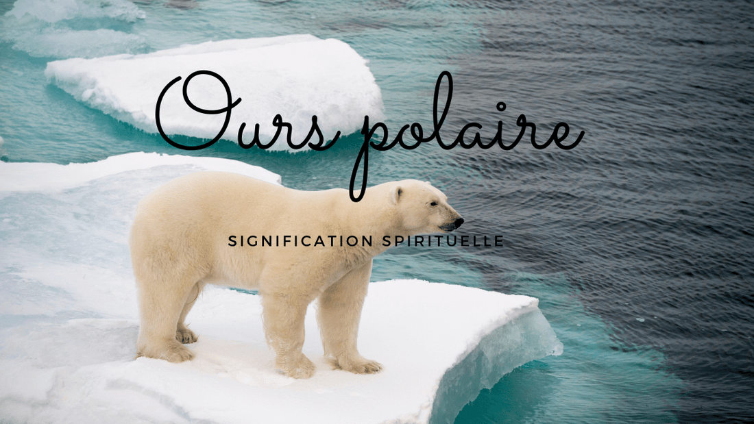 Ours polaire signification spirituelle