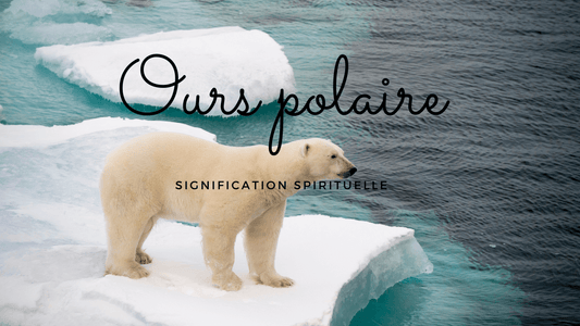 Ours polaire signification spirituelle