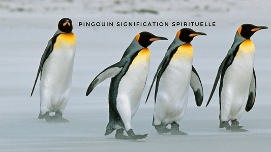 Pingouin signification spirituelle