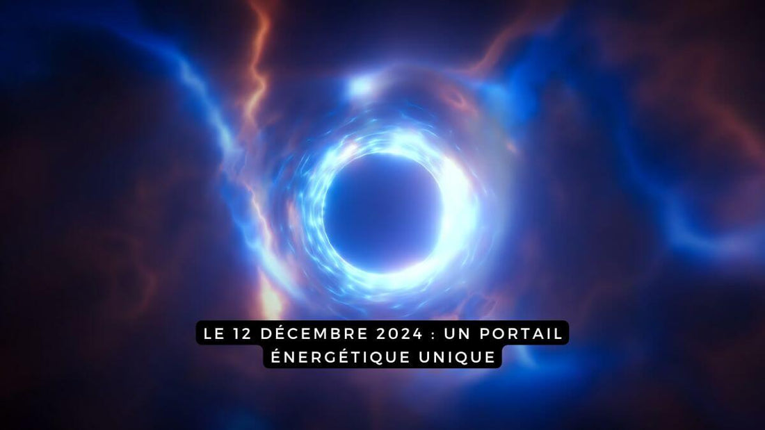 Le 12 décembre 2024 : un portail énergétique unique