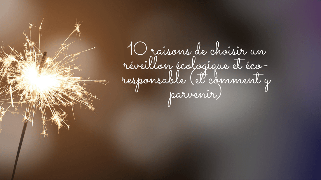 10 raisons de choisir un réveillon écologique et écoresponsable en 2024 (et comment y parvenir)