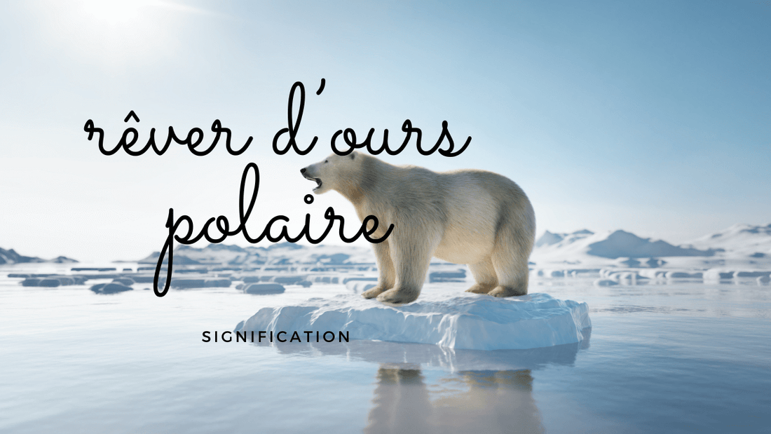 Quelles significations spirituelles et symboliques si vous rêvez d'ours polaire?