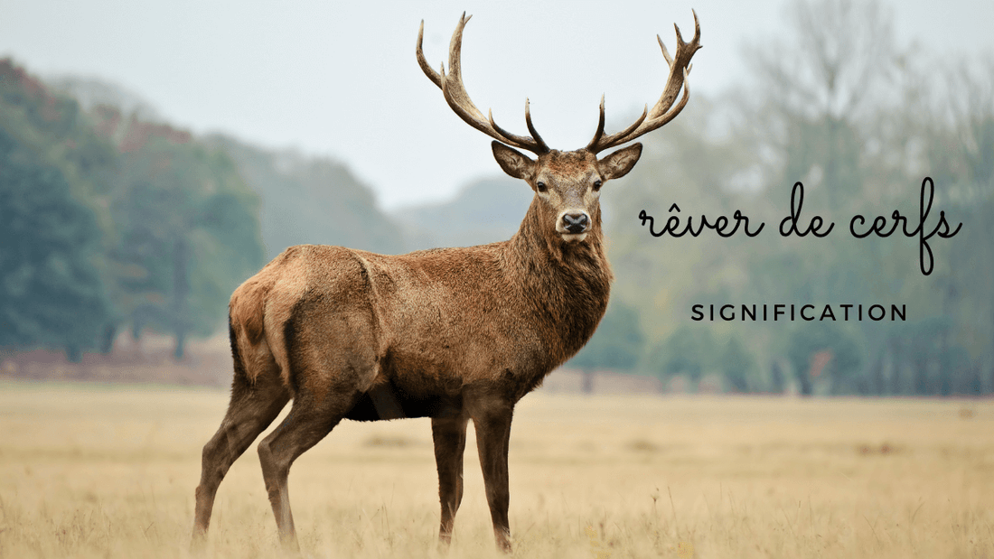 Rêver de cerfs: quelle signification?