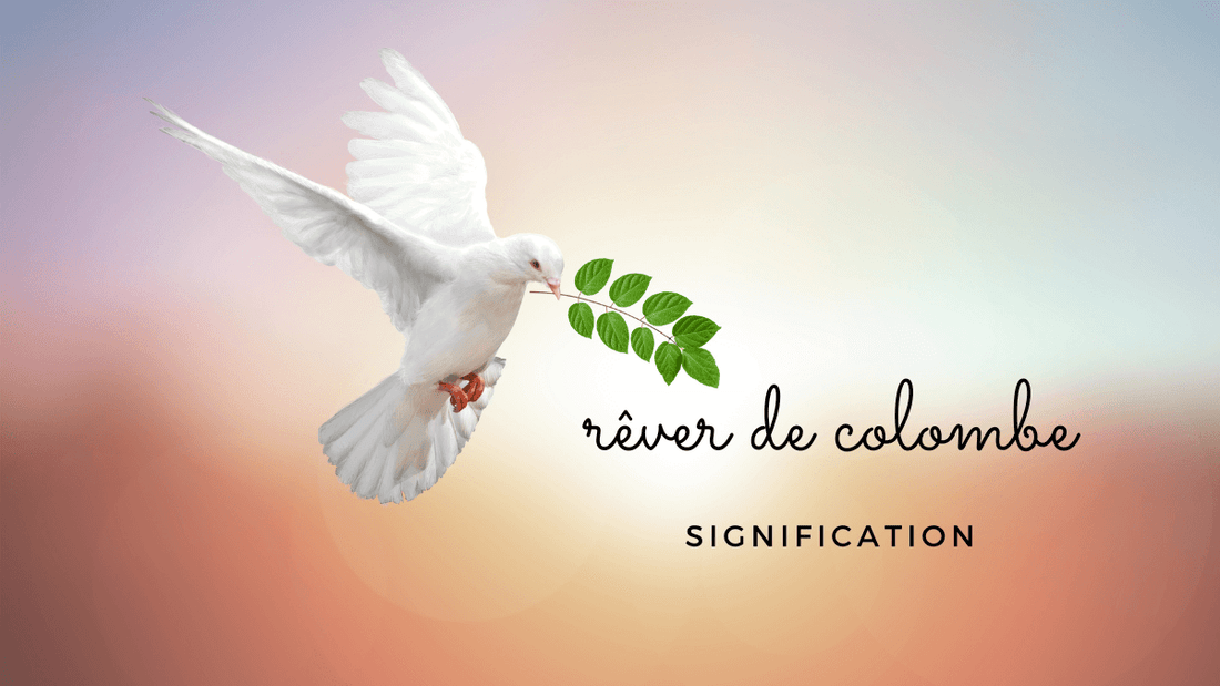 Quelles significations spirituelles et symboliques si vous rêvez d'une colombe ?